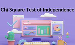 Chi-Square-Test-of-Independence-01