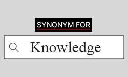 Knowledge-Synonyms-01