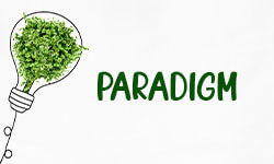 Paradigm-01